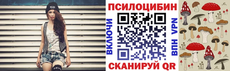 Псилоцибиновые грибы Psilocybine cubensis  купить наркоту  Октябрьск 