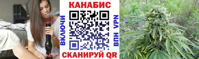 Каннабис сатива Октябрьск